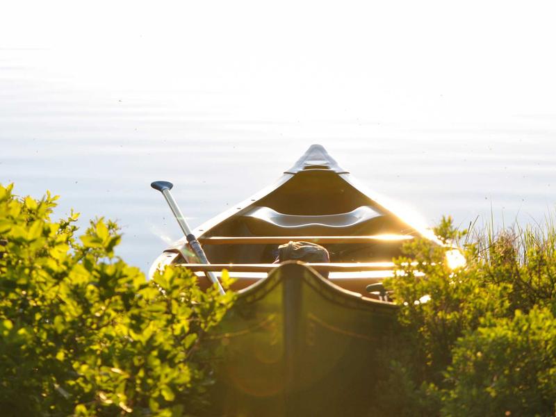 sudoku no mistakes screenshot 1